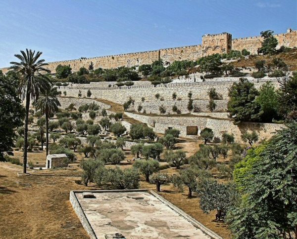 Huerto de Getsemaní