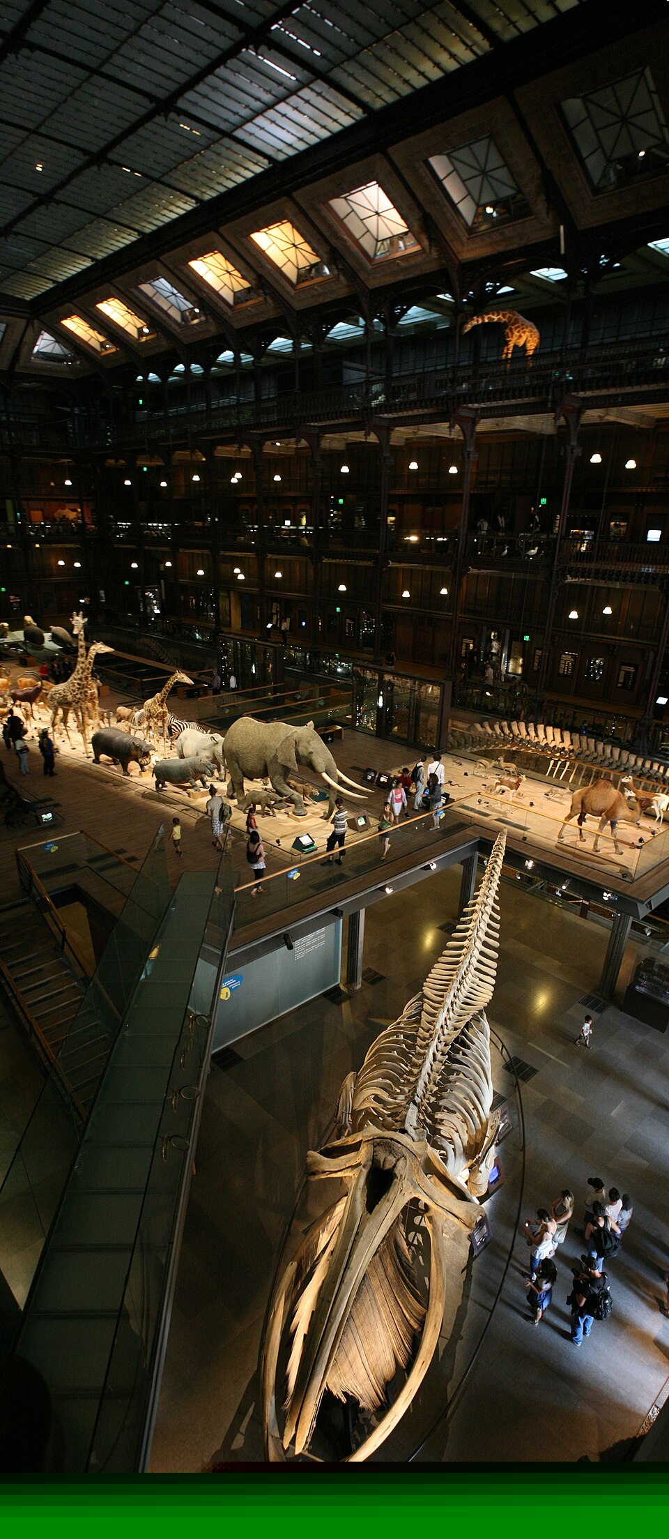 Interno della Grande Galleria dell’Evoluzione del Museo di Storia Naturale di Parigi